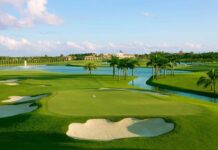 How to Find the Right Landscape Services in Dubai? golf court landscaping Dubai